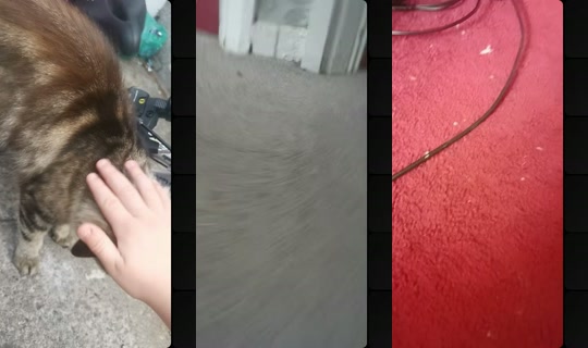 olivermorgan_3's Stream - Aug 7, 2026, 2:59 PM