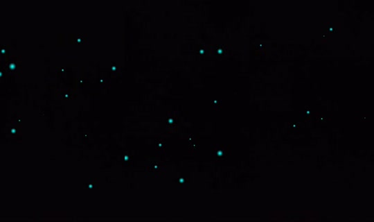 palacioskarime's Stream - Jul 15, 2026, 8:17 AM