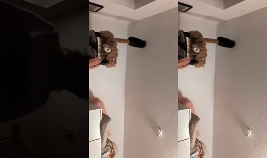 paulina.aleksandrowicz's Stream - Jul 20, 2026, 7:32 PM