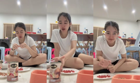 petcharatnaksisuk's Stream - Jul 11, 2026, 2:33 PM