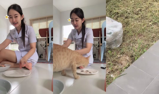 petcharatnaksisuk's Stream - Aug 9, 2026, 2:13 AM