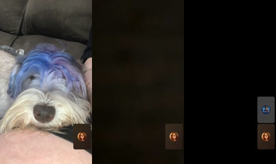 pettypretzi's Stream - Jul 13, 2026, 6:15 PM