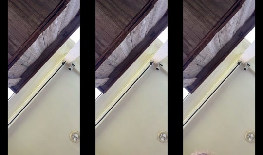 pettypretzi's Stream - Jul 17, 2026, 8:51 PM