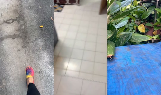 piadelishaminyaklintah's Stream - Oct 6, 2026, 11:39 PM