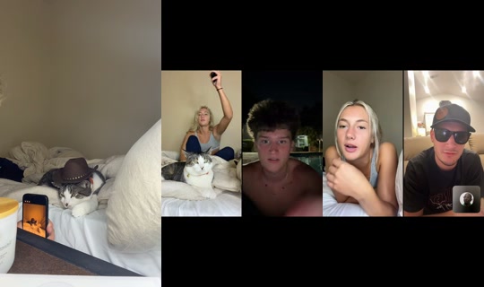 picaa.picaa's Stream - Jul 28, 2026, 4:21 AM