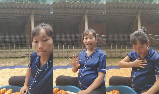 pinkvn05's Stream - Jul 21, 2026, 11:33 PM