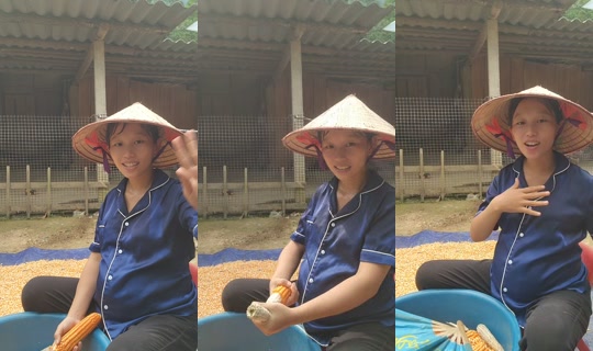 pinkvn05's Stream - Jul 22, 2026, 1:39 AM