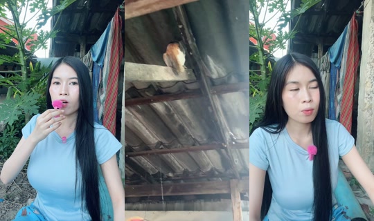 pinnnnnnn_061's Stream - Oct 6, 2026, 10:12 AM