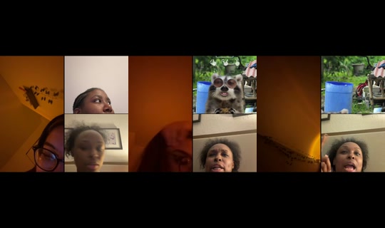 playboymariie's Stream - Jul 22, 2026, 4:49 AM