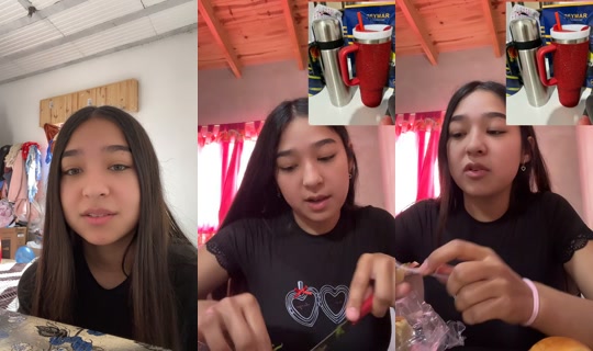 priconsusgemelos's Stream - Jul 24, 2026, 5:42 PM