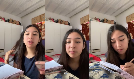 priconsusgemelos's Stream - Aug 20, 2026, 5:53 PM