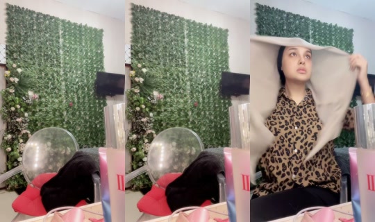 putrimihara's Stream - Aug 3, 2026, 11:59 PM