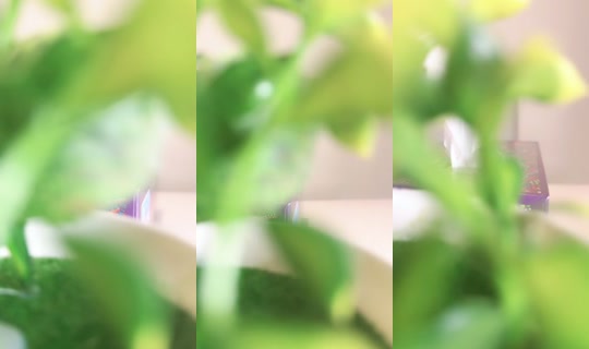 qamra450's Stream - Jul 11, 2026, 8:06 PM