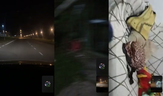 qiuzeestories's Stream - Aug 6, 2026, 12:57 PM