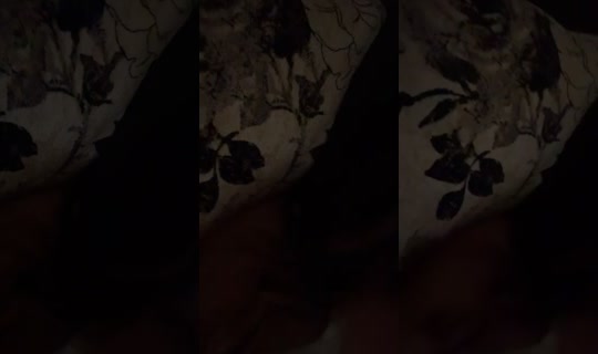 ql4qll's Stream - Jul 21, 2026, 5:00 AM