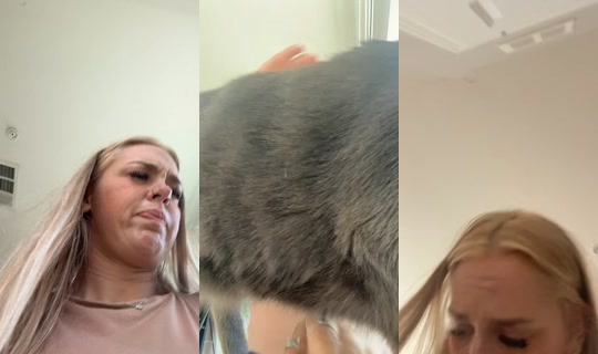 queennb95's Stream - Aug 9, 2026, 12:44 PM