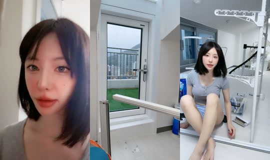 riako_bird's Stream - Aug 16, 2026, 7:48 AM