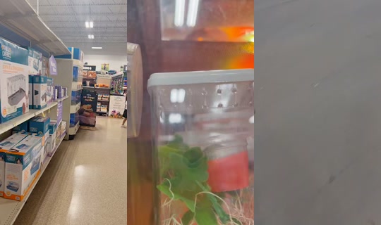 richellangel's Stream - Aug 23, 2026, 1:42 AM