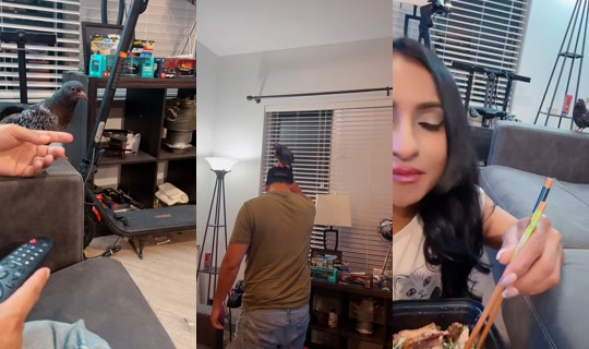 Stream von richellangel – 25. Aug. 2026, 3:09
