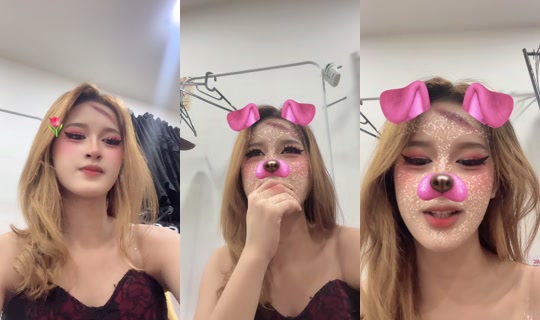 rollybee_'s Stream - Oct 15, 2026, 2:28 PM
