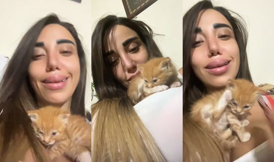 rory.ch0's Stream - Sep 24, 2026, 2:11 AM
