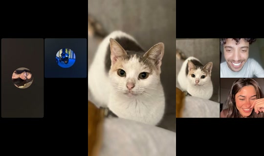 rrr_6.8's Stream - Aug 10, 2026, 8:38 PM