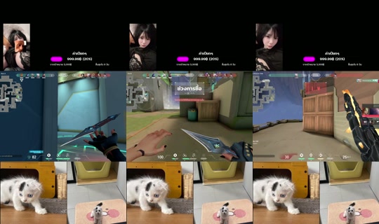 ruchira678's Stream - Jul 24, 2026, 4:53 AM