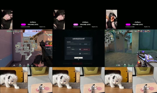 ruchira678's Stream - Jul 24, 2026, 5:43 AM