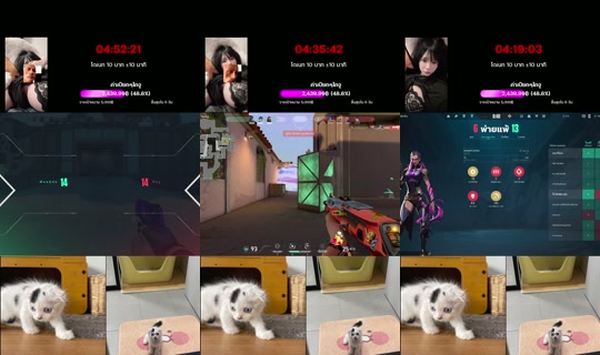Live de ruchira678 - 25 de jul. de 2026, 7:01