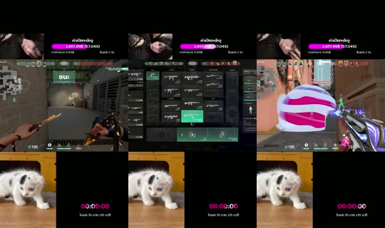 ruchira678's Stream - Jul 29, 2026, 9:13 AM