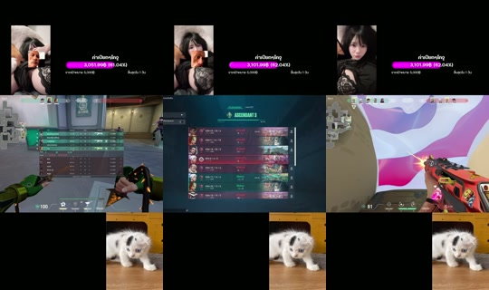 ruchira678's Stream - Jul 31, 2026, 3:15 AM