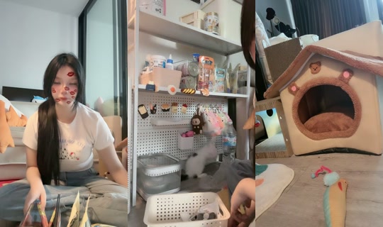 ruchira678's Stream - Aug 6, 2026, 8:11 AM