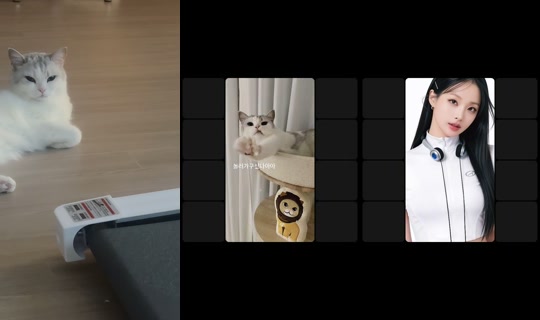 sae.rok's Stream - Jul 30, 2026, 4:29 PM