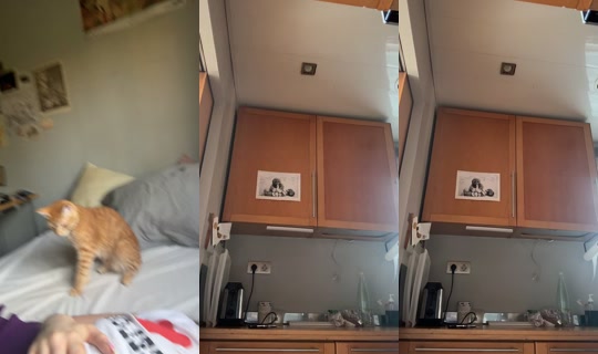 saintclaude's Stream - Jul 22, 2026, 8:27 AM