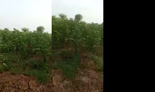 samreen56554's Stream - Jul 24, 2026, 12:34 PM