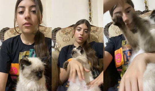 sara.elnggar6's Stream - Jul 11, 2026, 2:11 PM