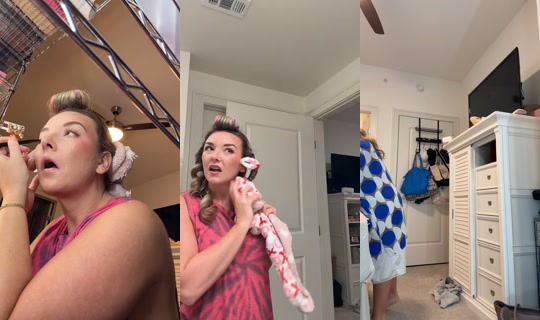 savvy.fox's Stream - Jul 23, 2026, 10:42 AM