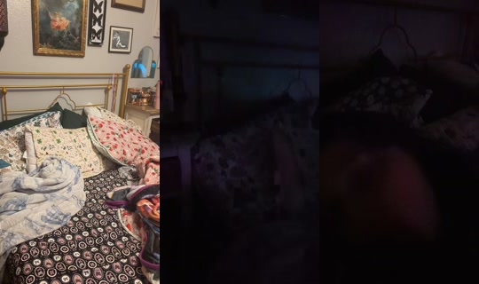 scarletroselover's Stream - Aug 22, 2026, 4:19 AM