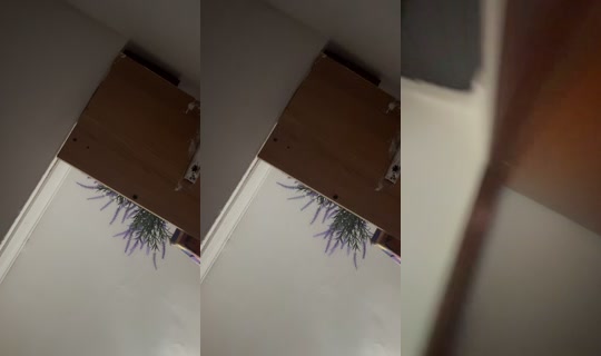 seccuu_muucaa's Stream - Jul 19, 2026, 9:42 PM