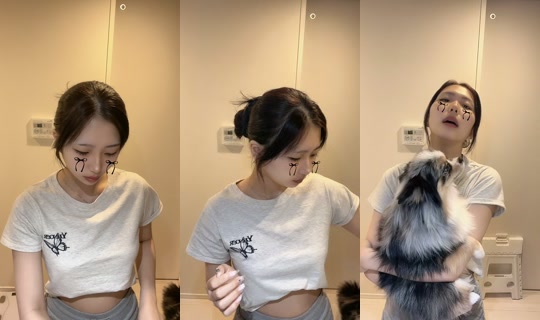 seina_10_11's Stream - Aug 21, 2026, 1:24 PM