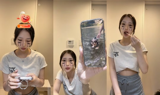 seina_10_11's Stream - Aug 21, 2026, 2:14 PM