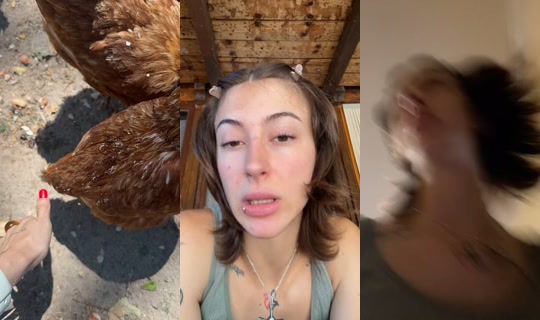 senafox_'s Stream - Aug 7, 2026, 11:02 AM