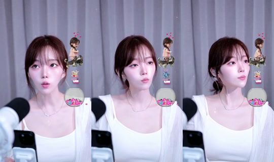 sepu_jeong's Stream - Aug 13, 2026, 2:21 PM