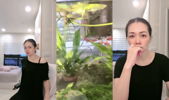 sflowercoco1022's Stream - Oct 22, 2026, 1:44 AM