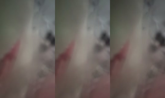 shabby842 تم التسجيل في 16 أكتوبر 2026، 7:58 ص
