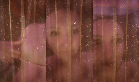 shaybehindatree's Stream - Aug 5, 2026, 10:50 PM