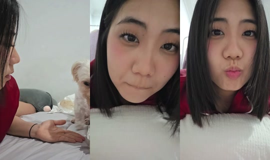 shellykimm's Stream - Oct 13, 2026, 9:17 AM