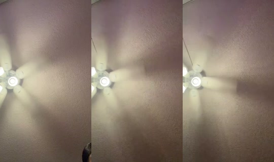 shemshawty's Stream - Aug 9, 2026, 4:06 AM