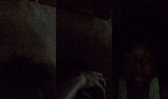 sil_va565's Stream - Oct 13, 2026, 2:29 AM