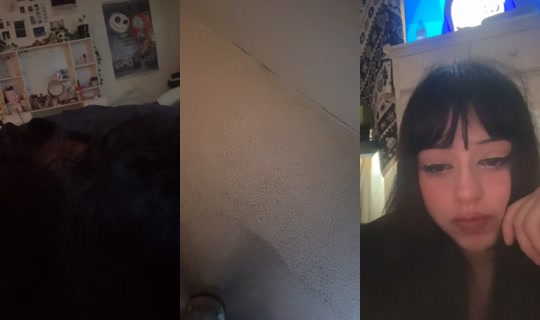 singcuzyomamayomamasaid's Stream - Jul 18, 2026, 12:16 PM